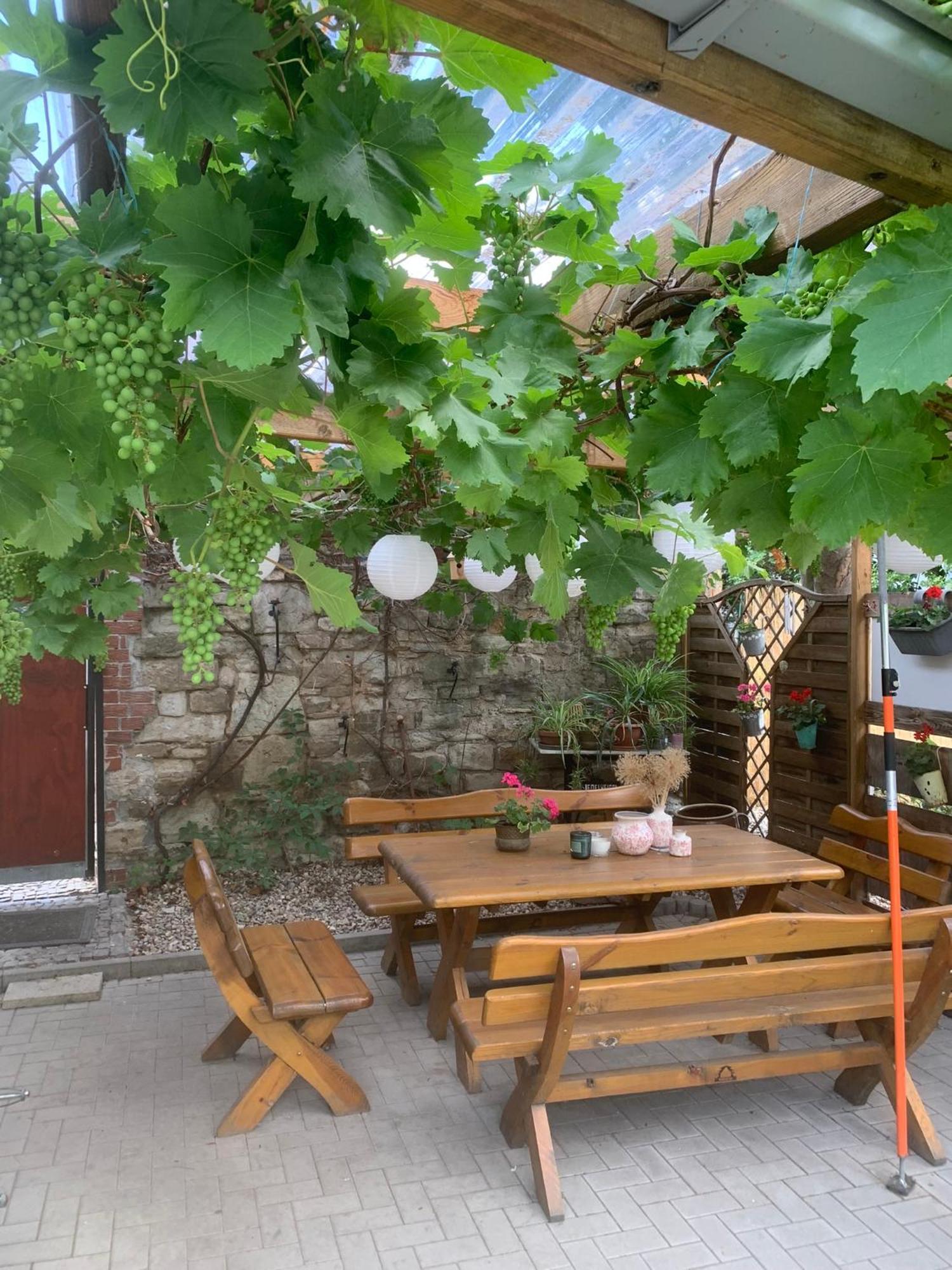 Pension Am Werder Бернбург Экстерьер фото